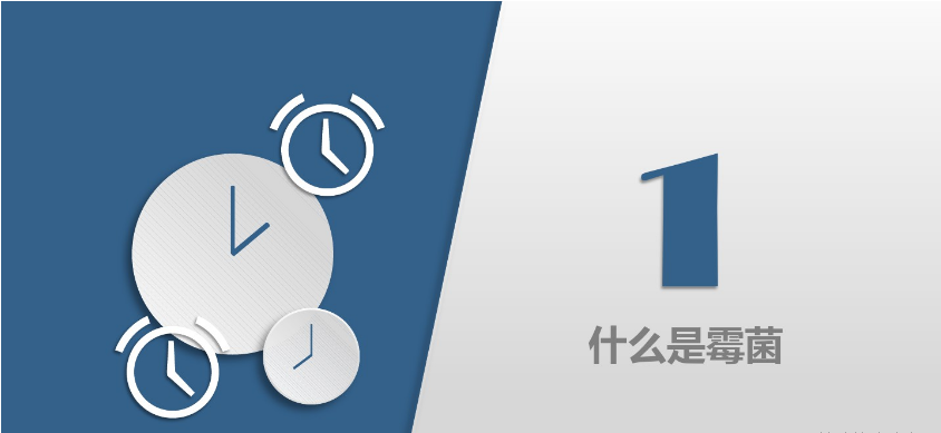 食品潔淨車間,環境黴菌（jun1）來源,黴菌控製（zhì）措施，滁州無塵淨化車間（jiān）