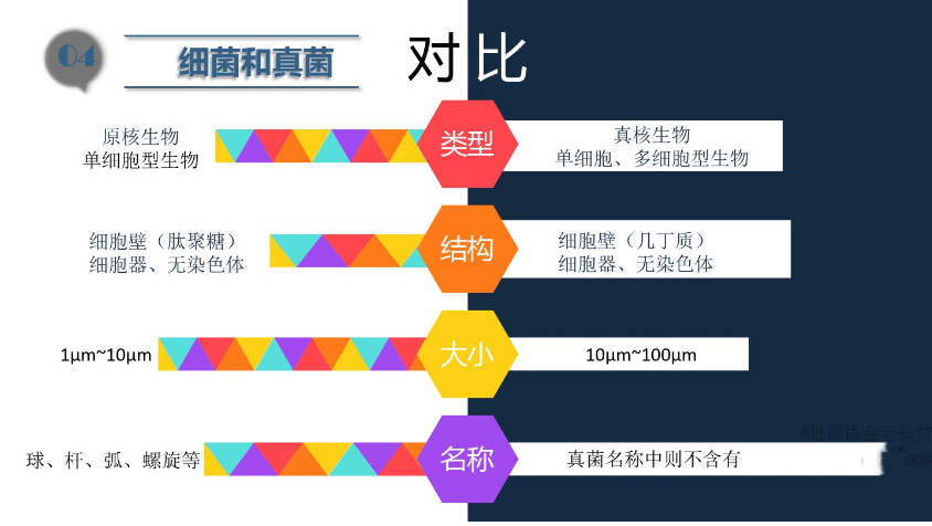 食品潔淨車間,環境黴菌來源,黴菌控（kòng）製措施，滁州無塵淨化車間