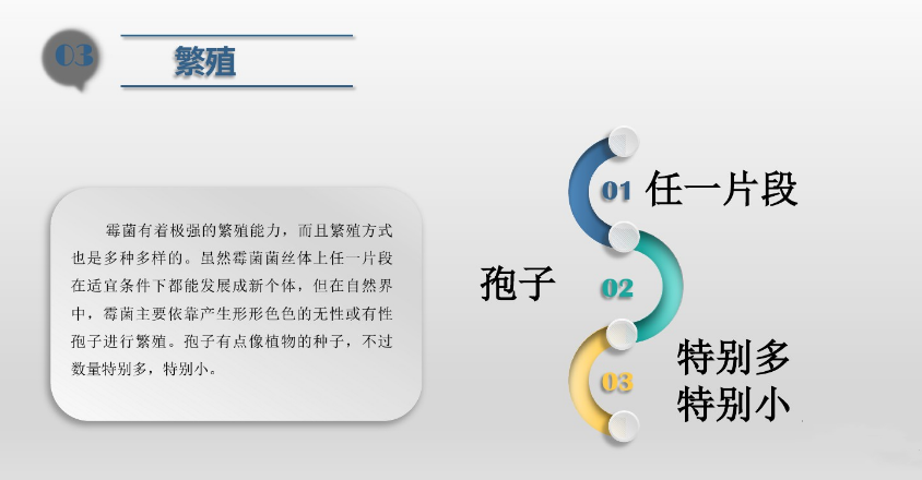 食品潔淨車間,環（huán）境黴菌來源,黴菌控製（zhì）措施，滁州無塵（chén）淨化車間